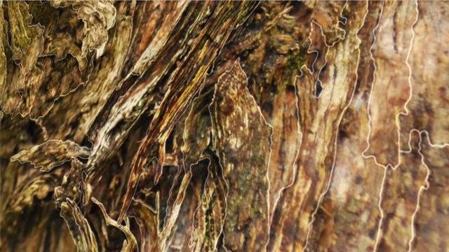 Bring me to life, installation video, Lotie, Le Cube, Ex.croissance, So Natural, Charles-Eric Peard, cepSound